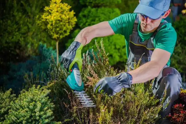 landscaping services East Marion